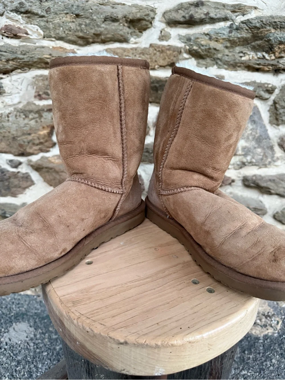 Women’s 7 Short Chesnut Uggs